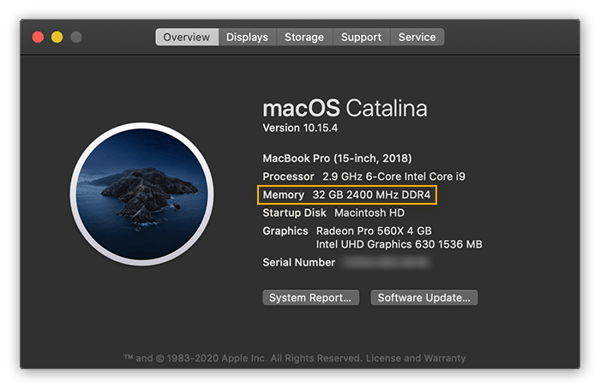 Viewing system information in macOS Catalina inside the Overview tab of the "About This Mac" menu